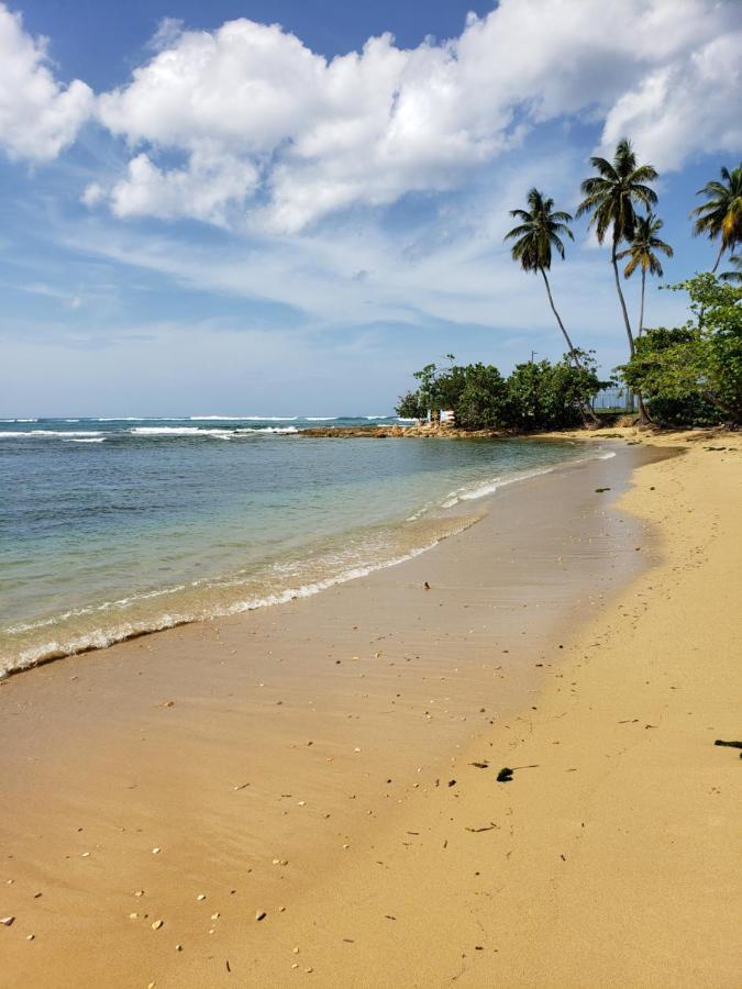 Beach Villas Dorado Puerto Rico Extérieur photo